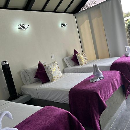 ריונגרו Star Center Hotel Boutique מראה חיצוני תמונה