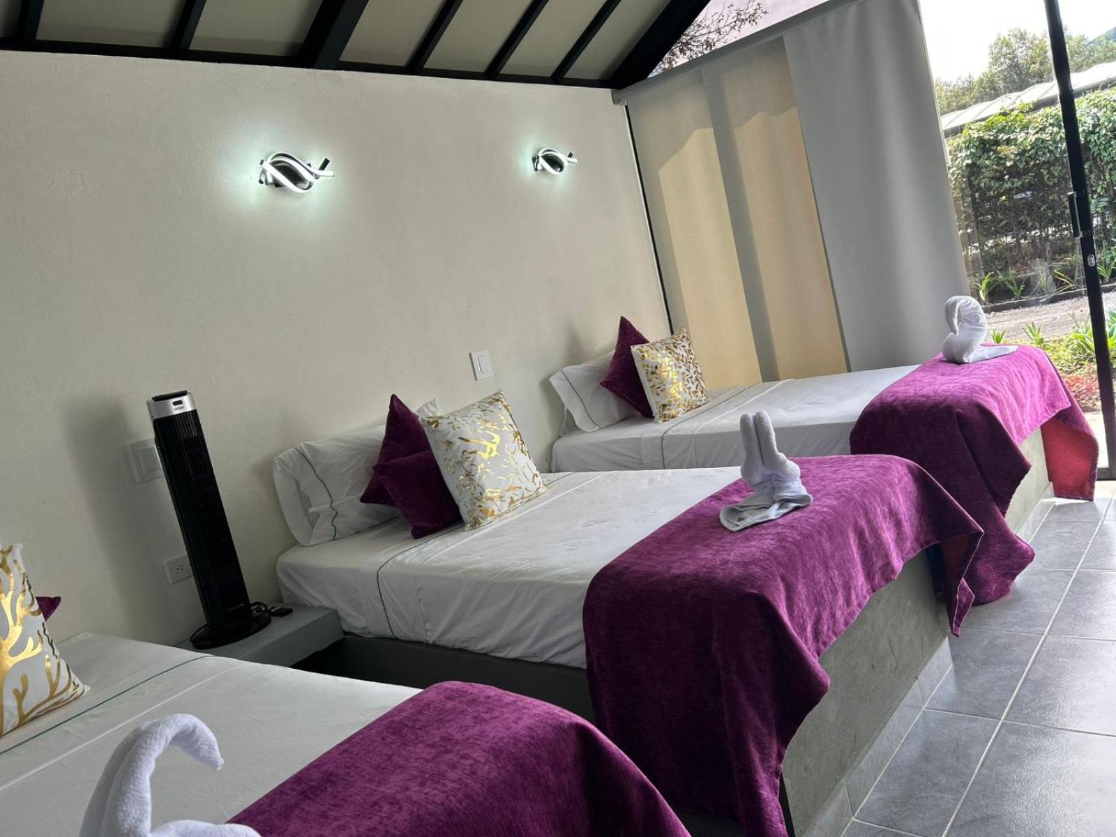 ריונגרו Star Center Hotel Boutique מראה חיצוני תמונה