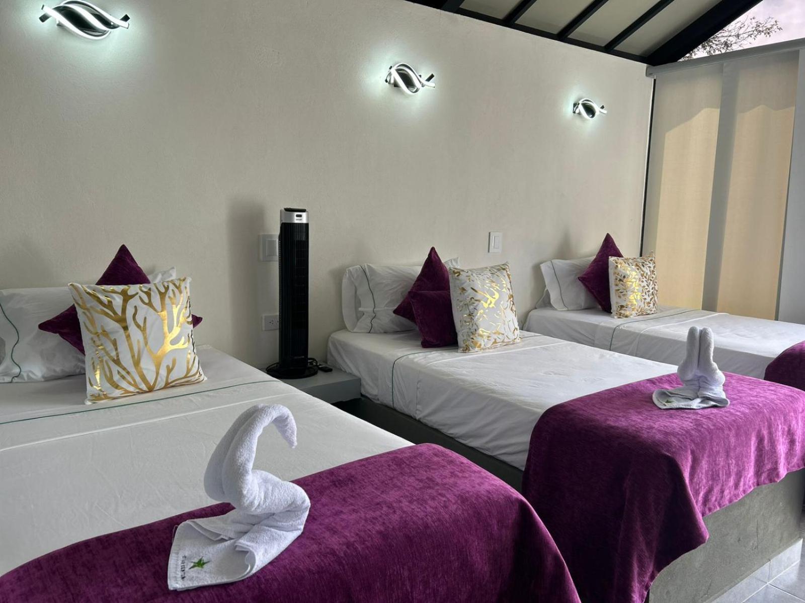 ריונגרו Star Center Hotel Boutique מראה חיצוני תמונה