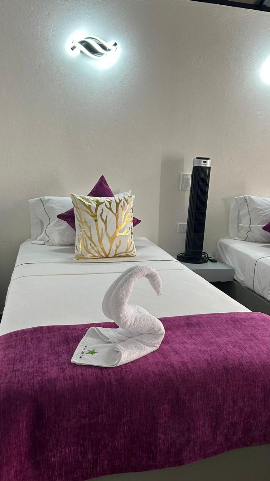 ריונגרו Star Center Hotel Boutique מראה חיצוני תמונה