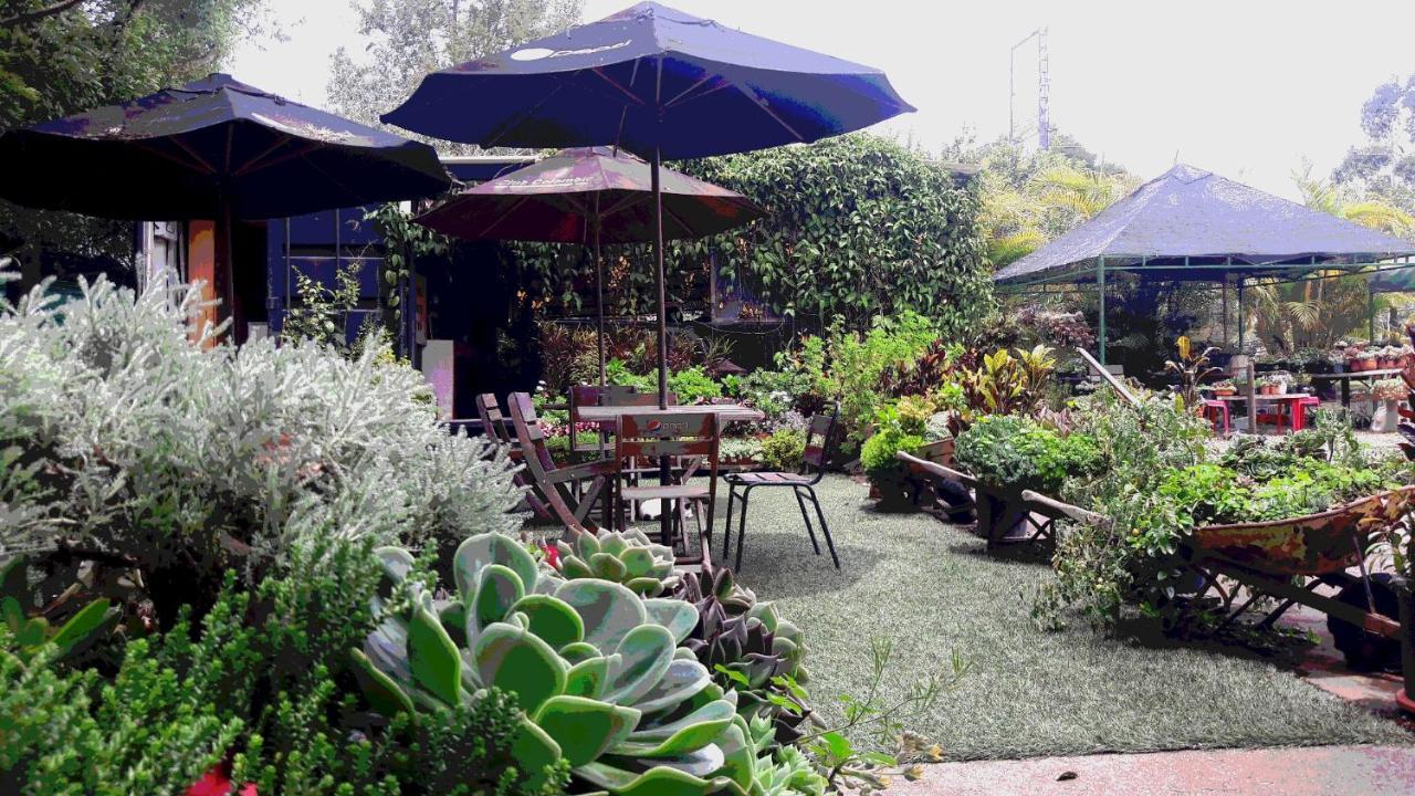 ריונגרו Star Center Hotel Boutique מראה חיצוני תמונה